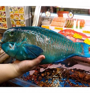 Cooking juicy parrot fish recipe | Justin Charley