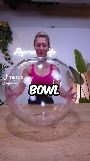 Building a Self-Sustaining Aquarium Ecosystem in 30 Days