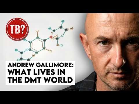 The Basement: Andrew Gallimore | DMT Didn't Take You Somewhere New — It Unlocked What's Always There