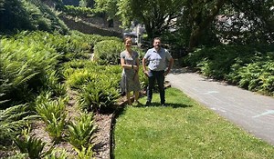 Pour la première année, Fougères fête la journée internationale de la fougère