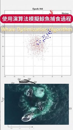 透過模擬鯨魚捕食，深入了解自然生態中的競爭與求生 #模擬鯨群行為 #優化問題解決 #優化技術 #自然模擬 #AI優化 #woa #whale #whaleoptimizationalgorithm