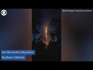 Tree struck by lightning, causing a fiery split