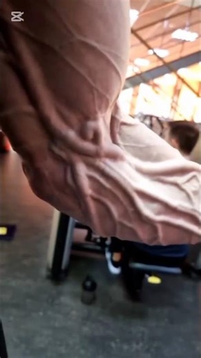 hand gripper exercises hand gripper exercises #######