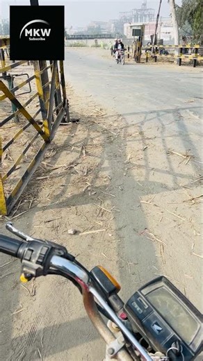 Never Ignore the Signal: A Life-Saving Guide for Railway Crossings | MKW