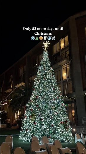 Christmas is almost here🤭🎄 #aesthetic #christmas #christmastree #christmasmusic #november