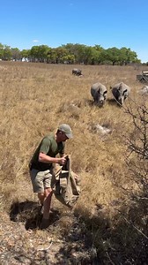 20K views · 725 reactions | White Rhino are deserving of our finest conservation efforts! 憐 Exploring the sheer size, strength and attitude of this amazing species! #Imire #wildlifeconservation #africanimals #reillytravers #ecosystem | Reilly Travers | Facebook