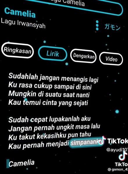 Lagu Sudahlah Jangan Menangis Lagi - Lirik dan Lagu Camelia
