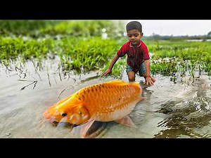 Amazing Traditional Boy Fish Catching by Hand in Water | Incredible Hand Fishing Skills #fishing