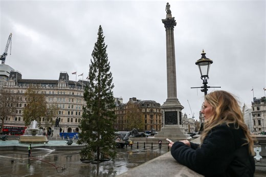 Trafalgar Square Christmas tree lights switched on