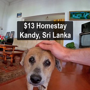1.1M views · 1.1K reactions | $13 Homestay in Kandy, Sri Lanka  | Dale Philip | Facebook