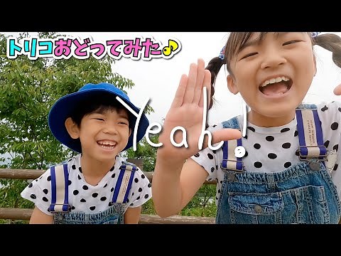 【あちゃぴとぎん】Nissy トリコおどってみた♪フルバージョン