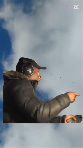 THE NOISES WE MAKE TO SCARE THE HAWKS....😅 #birdsofprey #PIGEONS #BIRDS #loft #youtube #yt #sky