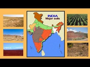 Classification of Soils Video Lecture | Geography for Grade 11
