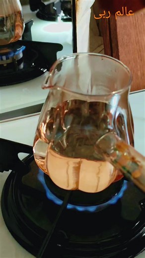 عالم ربى-Ruba's World TikTok'ta