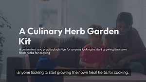 Culinary Herb Garden Kit