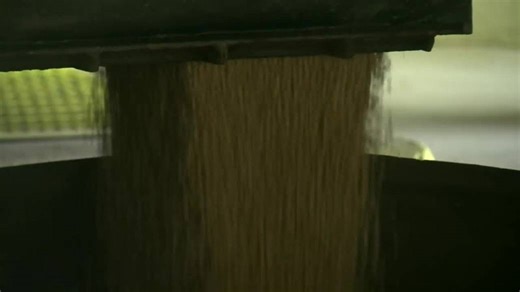 Manitoba farmer urges others to step up security after $40K canola theft