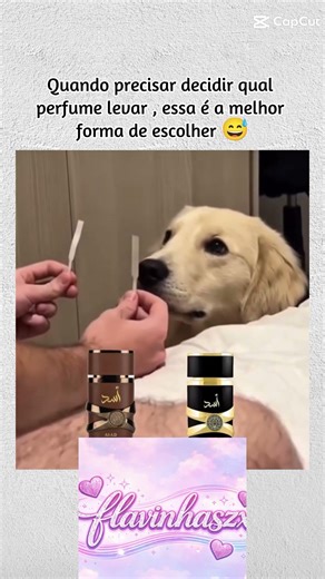quem mais e assim? #memes #fypシ゚viral #cachorrinho