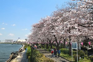 【大人のための中学音楽】早逝の天才、滝廉太郎の生い立ちと当時の日本をわかりやすく振り返る