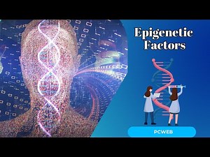 Epigenetic Factors: How Your Environment Can Change Your DNA Expression
