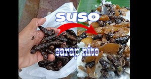 122K views · 2.1K reactions | Ang Suso Pag Sinupsop ay napaka Sarap #suso #ulam #pulutan #ginbilog | Jepoy | Facebook