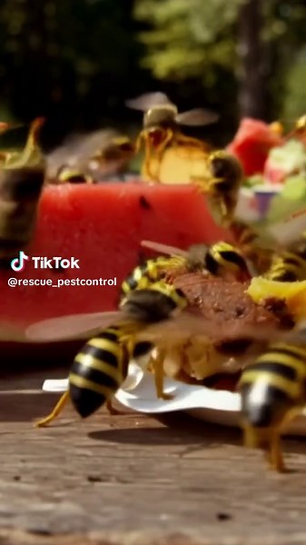 Don’t let wasps ruin your spring! The Wasp TrapStik lures wasps, yellowjackets, carpenter bees, and other stinging insects so you can protect your outdoor spaces. #PestControl #PestControlTips #MadeintheUSA