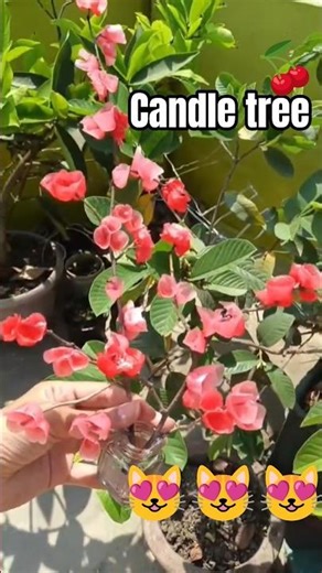 DIY cherry blossom candle tree🍒 #wax #candletree #flowers #viralshorts #ideas