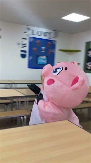 Pig costume