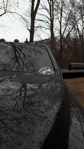 Creative Decals for Your Dice and Card Games