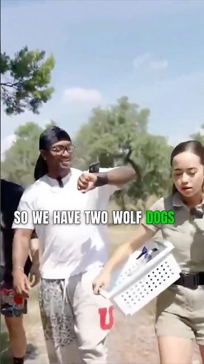 YourRage & Maya: The Truth About Wolf Dogs 🐺❌