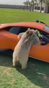 397K views · 10K reactions | 헨헿혀헼 헮헿헿헮헻헰헮 헽헼헿혁헮 헱헲 헹헮헺헯헼헿헴헵헶헻헶 헽헮헿헮...