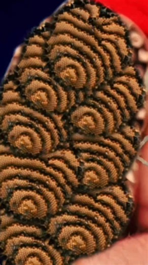 Shoulder #animationvideo #animation #asmr #shortsreels #asmrvideo | Blue ASMR Z9