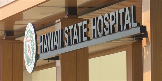 DOH launches exhaustive review in wake of fatal attack on nurse at state psychiatric facility