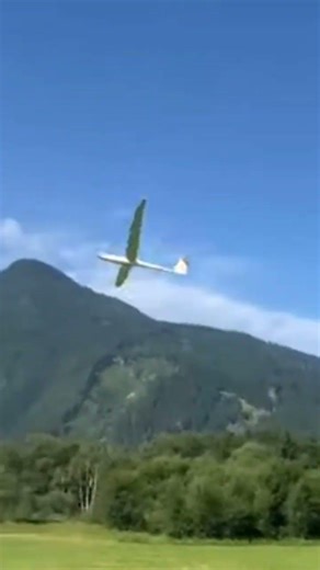 Duo Discus 8m, tolle Performance #modellflug #hangflug #hangglider #rcglider #rcplane