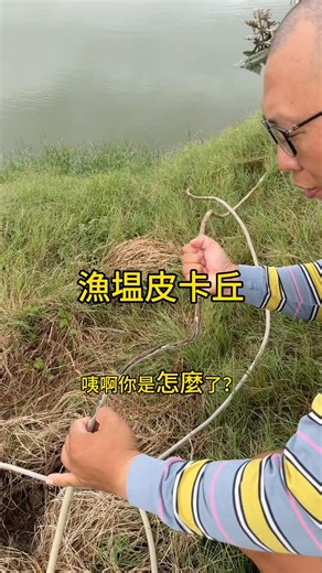 漁塭皮卡丘出沒！又把我們的電線咬壞了