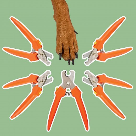 I’m a Vet—and These Are the Only Dog Nail Clippers I Use