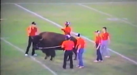 1986 Baker High VS Capitol featuring Buffy, it was said that Baker was one of only two high schools in America with an actual 🦬 for their mascot | Brandon Washington