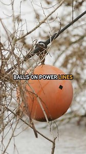 The Real Reason Why Power Line Balls Are Scattered Throughout The U.S. | Factable
