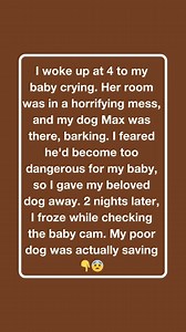 I woke up at 4 to my baby crying. Her room was in a horrifying mess, and my dog Max was there, barking. I feared he'd become too dangerous for my baby, so I gave my beloved dog away. 2 nights later, I froze while checking the baby cam. My poor dog was actually saving Full story in 1st comment 👇👇 👇 | The Daily Beat