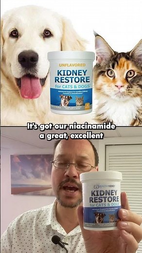 Kidney Restore Cats And Dogs Unflavored - Best Kidney Supplement for Cats and Dogs
