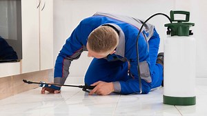 Discount Termite And Pest is the best pest control company in Houston TX