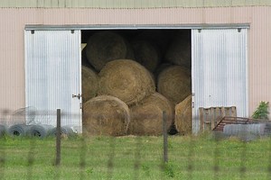 Understanding a Hay Analysis