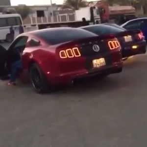 56K views · 1.2K reactions | Shelby sound battle ! Mustang Passion | Mustang Passion | Facebook