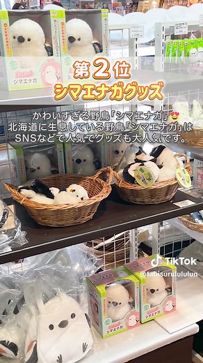 北海道お土産ランキング：雑貨部門で女子旅の必需品をチェック！