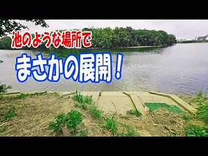 Night Eel Fishing in a Lake-like River! The Bites Won't Stop...