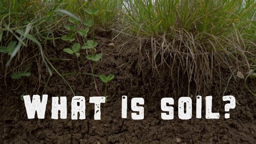 The Wonder of Soil | Six Inches of Soil