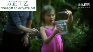 Flying Flitter Fairies