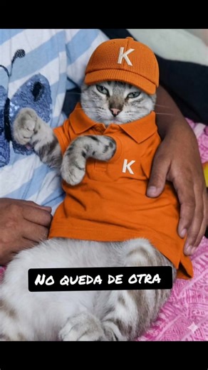 Keiko vs. JP: La elección difícil