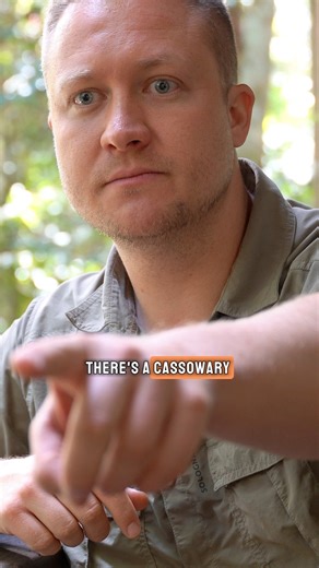 The truth behind starting an own pet food business. Watch the full interview on 🎥YouTube: your-parrot #petfood #parrots #yourparrot #parrotlovers #birdfood #petbird #macaws #aviary #avianbrands #avianvet #cockatoolove #loros #papegaai #vogel #birdbreeder #voliere #papageien #startup #startuplife | dein_papagei