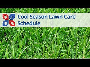 Year-Round Cool-Season Lawn Care Calendar | DoMyOwn.com