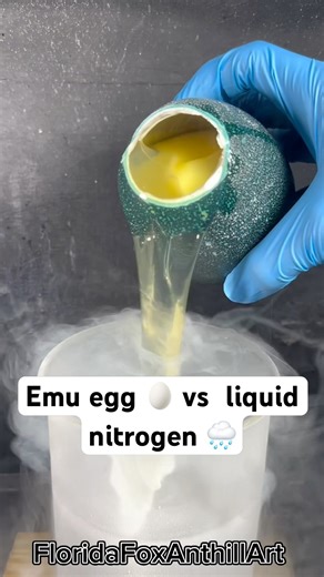 Emu egg 🥚 vs liquid nitrogen 🌧️ #satisfying #Experiment #Science #ASMR #LiquidNitrogen